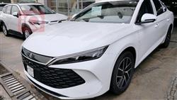 بي واي دي كوين L DM-i